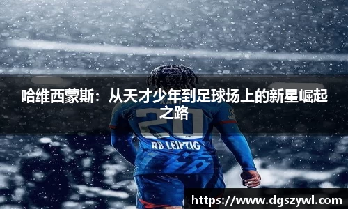 星空xingkong官网