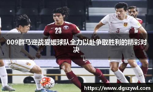 009群马迎战爱媛球队全力以赴争取胜利的精彩对决